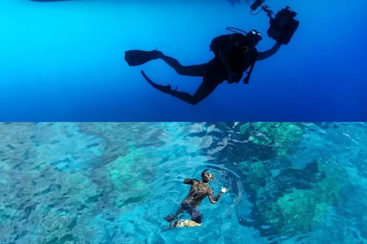 Perbedaan Diving Dan Snorkeling: Punya Manfaat Yang Belum Banyak Orang ...