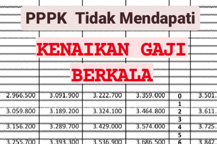 Jangan Sampai SALAH PAHAM! Ini PENJELASAN Bagi PPPK Yang Tidak Bisa ...