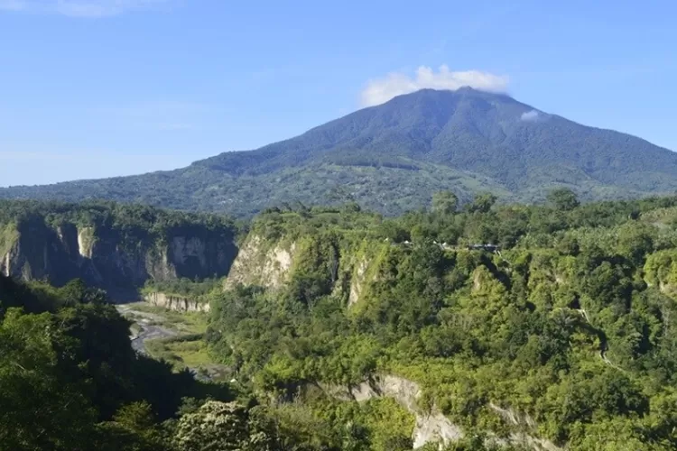 Ngarai Sianok, Keindahan Megah yang Terjaga di Geopark Nasional Sumatera Barat (nativeindonesia.com)