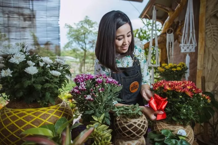 Mulai dari S-1 Pertanian Universitas Brawijaya hingga S-2 Agro Pariwisata di salah satu kampus di Italia, Dwi Lili Indayani Kembangkan Tanaman Hias di Kota Batu. (Detik.com)