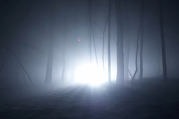 ini dia jenis hantu paling populer di negara India (Freepik/ photoikigai)