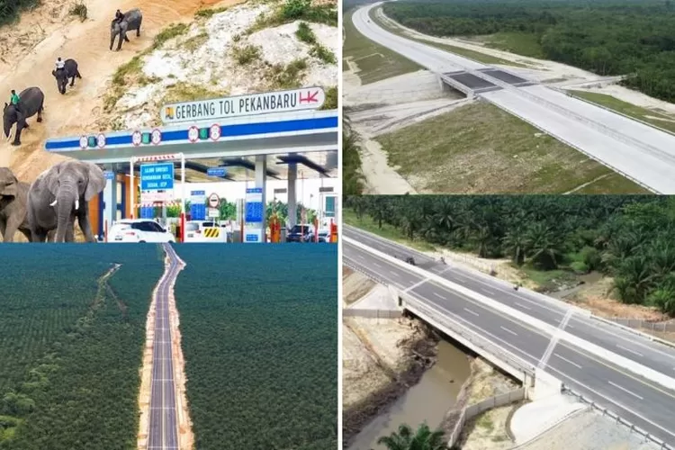 Pembangunan fasilitas khusus Gajah di jalan tol Trans Sumatera (Instagram @/pupr_bpjt)