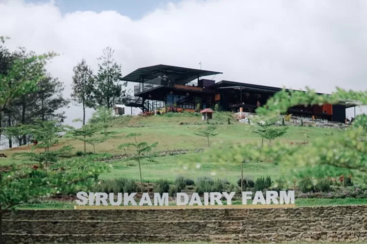 Tampilan Sirukam Dairy Farm