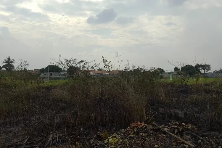 Penampakan lahan kosong yang terbakar di Perumahan Permata Cimanggis Depok  (Andika Eka )