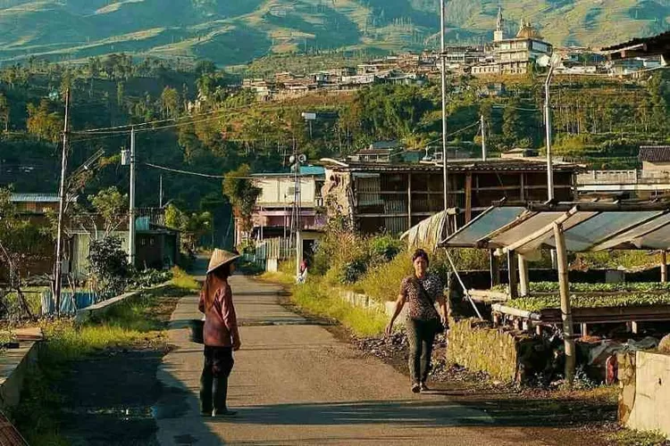 WOW! Di Gunung Kidul Yogyakarta Terdapat Kampung Yang 99 Persen ...