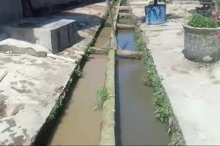 Saluran pembuangan limbah kotoran dari ternak babi milik salah seorang pengusaha di Binjai Barat (Realitasonline.id/ND)