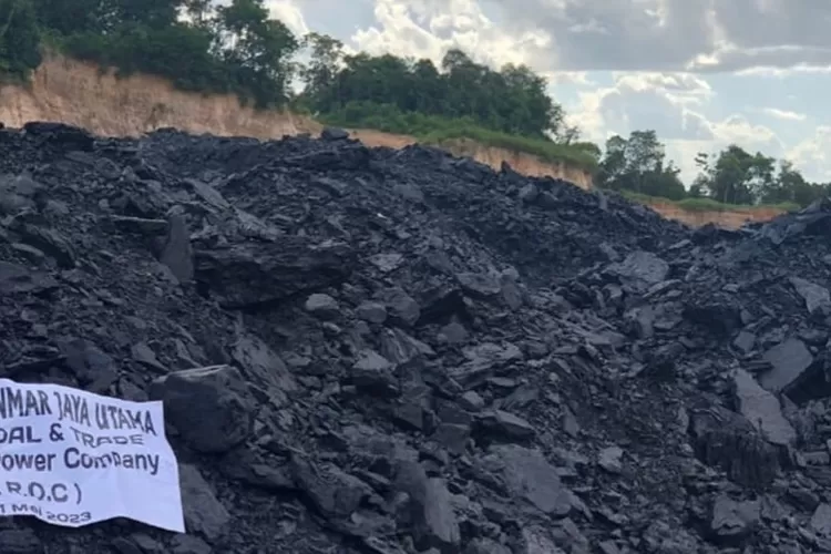 Batu bara, salah satu komoditi energy yang menjanjikan.