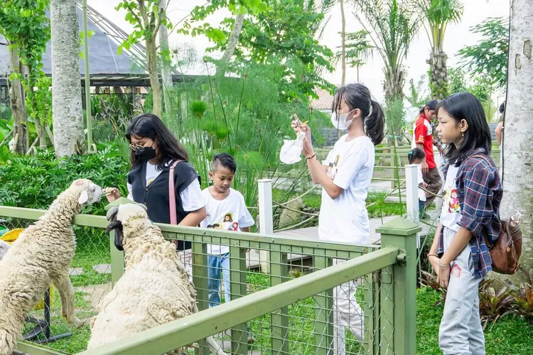 Obelix Village Jogja menjadi tempat liburan paket lengkap untuk mengedukasi anak (Instagram/@obelixvillage)
