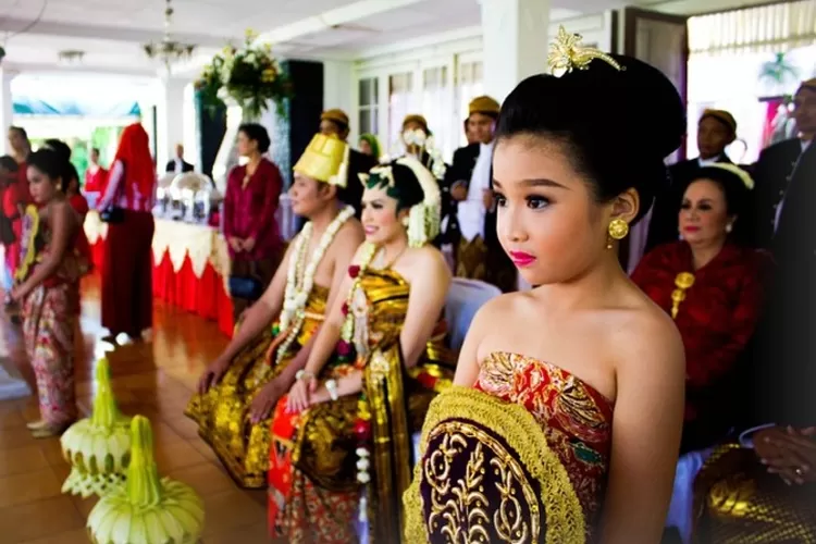 Kenapa Suku Jawa jadi suku terbesar di Sumatera, Minangkabau peringkat ini jangan kaget  (Pixabay.com/belajatiraihanfahrizi)