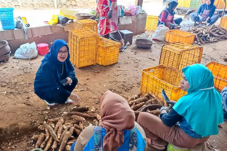 Eks Staf Ahli Bidang Hubungan Internasional Menteri Perdagangan, Arlinda Imbang Jaya saat mengunjungi Boja Kendal.  (Istimewa)