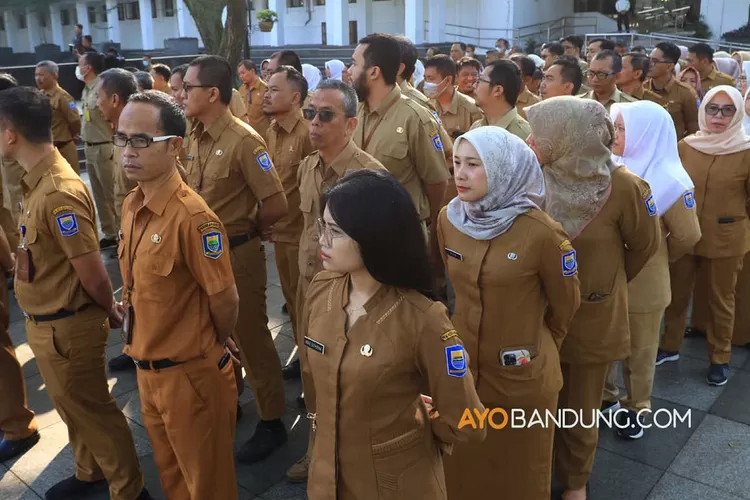 Cara Melihat Formasi Cpns 2023 Lulusan S1 Dan Sma Yang Sesuai Jurusan Ayo Bandung 