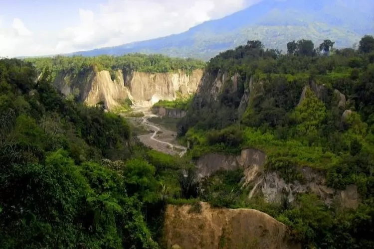 Lembah Ngarai Sianok sangat indah (sumbarprov.go.id)