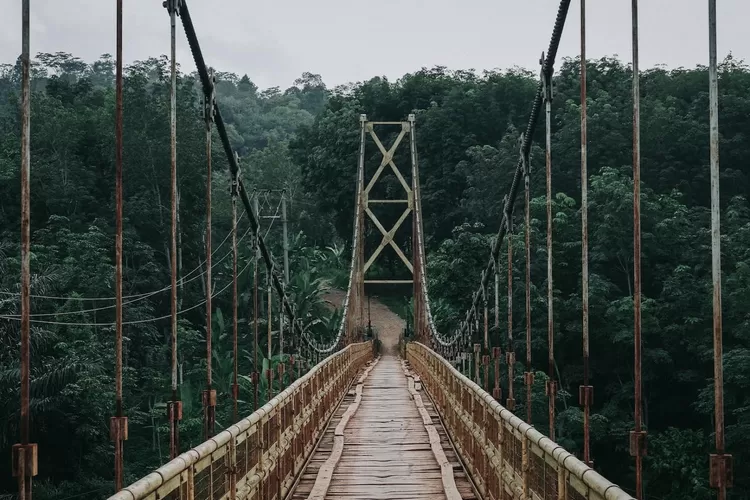 Illustrasi 4 jembatan ekstrem di Sumatera Utara. (Unsplash.com )