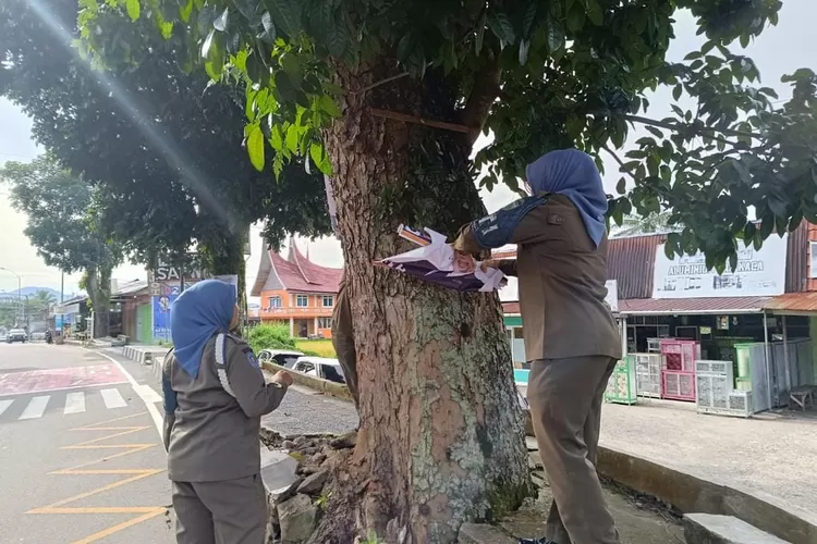 Puluhan Spanduk dan Baliho Ditertibkan Satpol PP Damkar Kota Padang Panjang (Kominfo Padang Panjang)