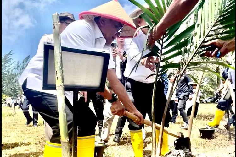 Kepala Staf Kepresidenan Moeldoko saat menanam sagu di Bangka Belitung. (Dok KSP.)