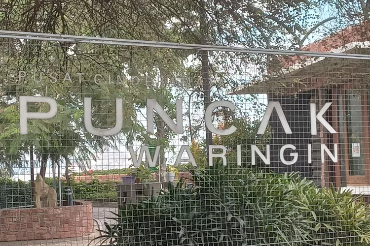 Puncak Waringin Labuan Bajo dikelola oleh Disparekrafbud Manggarai Barat. (Foto: KLIKLABUANBAJO.ID)