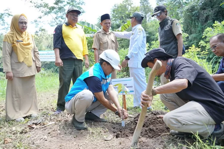 PLN Jatim saat melakukan penanaman pohon di DAS Badeng Banyuwangi