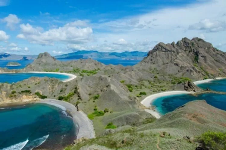 Fakta Menarik Pulau Komodo Nomor Paling Keren Lokasi Fauna Purba Langka Ihwal Halaman