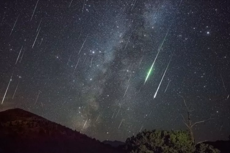 Cara Menikmati Puncak Hujan Meteor Dengan Mata Telanjang Besok ...