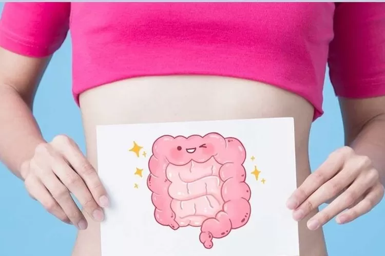 Usus memiliki peran penting dalam proses pencernaan serta penyerapan nutrisi makanan. 