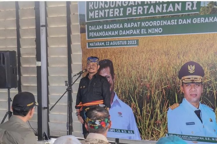 El Nino Jadi Ancaman Bagi Ketersediaan Pangan Menteri Pertanian Sebut ...