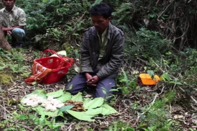 Ritual mangarontas dilakukan petani kemenyan suku Batak sebelum menggarap pohon kemenyan (budaya-indonesia.org)