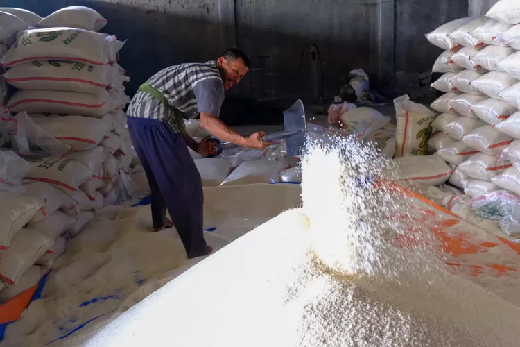 Ilustrasi. Wilmar luncurkan Mill Engagement Program untuk bantu pelaku usaha penggilingan