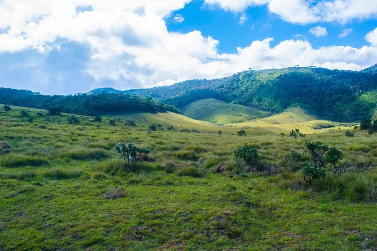 Arti Mimpi Melihat Padang Rumput Yang Luas Pertanda Baik Menurut Primbon Bali Atau Hindu Bali