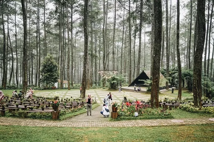 Orchid Forest Cikole. 25 tempat wisata di Bandung paling hits dan instagramable untuk liburan long weekend.  (dok. Orchid Forest)