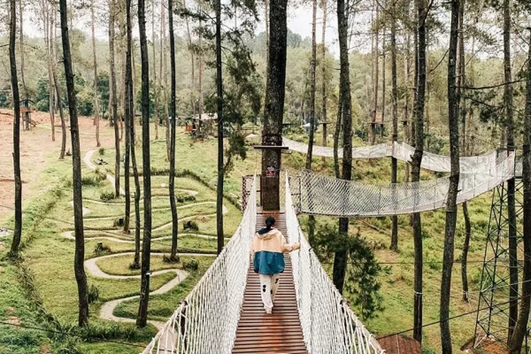 Berikut ini informasi dan pembahasan mengenai 10 tempat wisata di Bandung yang populer dan instagramable. (Instagram/@orchidforestcikole)