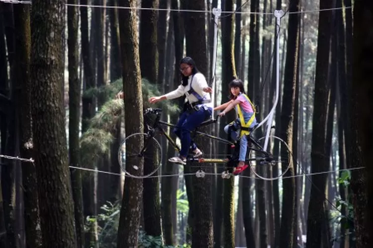 Tempat Wisata Sekitaran Daerah Jakarta, Ramai Dikunjungi Wisatawan (Foto/Istimewa.)