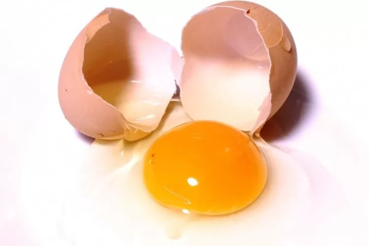 Makan Telur Mentah Tiap hari Bisa Bentuk Otot Tubuh? Ini Faktanya - Ayo  Bandung