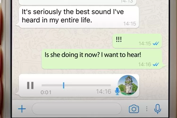 Tangkapan layar cara cepat membuat dan mengirim pesan suara atau voice message di WhatsApp. (WhatsApp)