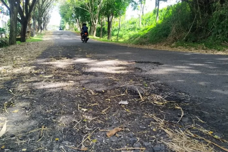 Rendi/Detik Sumsel - Salah satu ruas jalan di Kota Pagaralam yang kembali rusak meski baru diperbaiki.