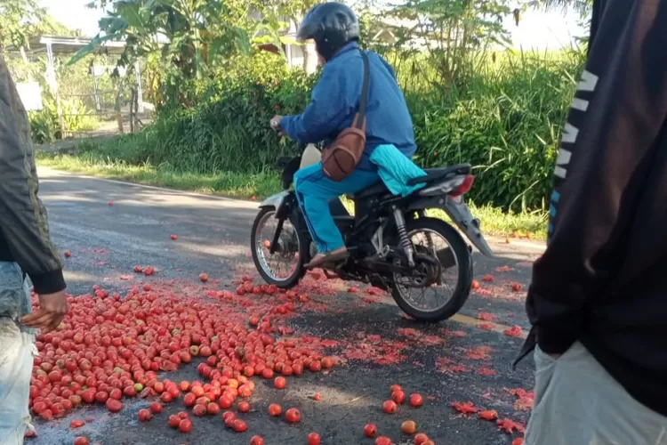 Istimewa : Tampak seorang petani Dusun Jambat Akar, Kecamatan Dempo Utara , membuang hasil panennya ke jalan. 