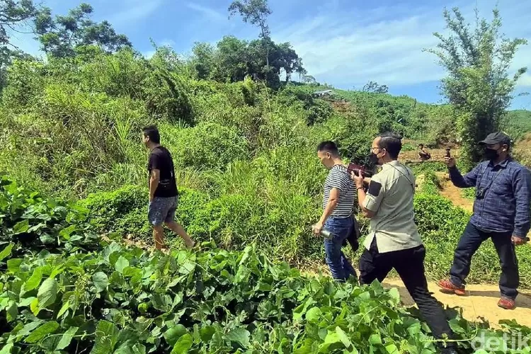 sejumlah-pekerja-tambang-emas-asal-china-ngumpet-di-semak-semak-saat-didatangi-petugas-imigrasi_169