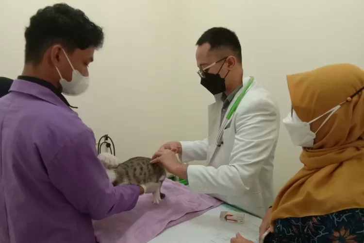PEDULI : Bakti sosial vaksinasi rabies gratis di Klinik Hewan Pendidikan, Sabtu (22/10).