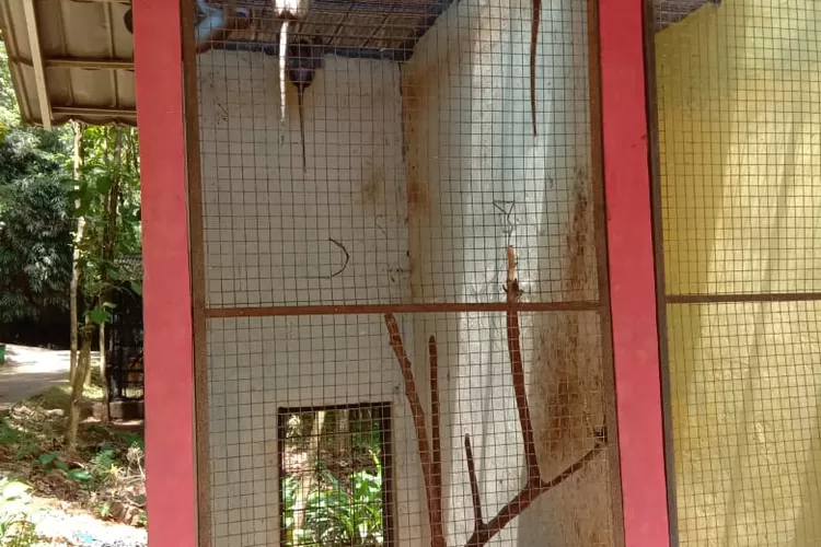 Kondisi kandang di Bogor Mini Zoo