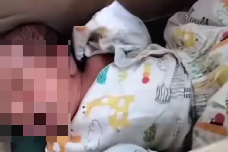 beredar video penemuan bayi di dalam kardus. Sumber: instagram faktareels