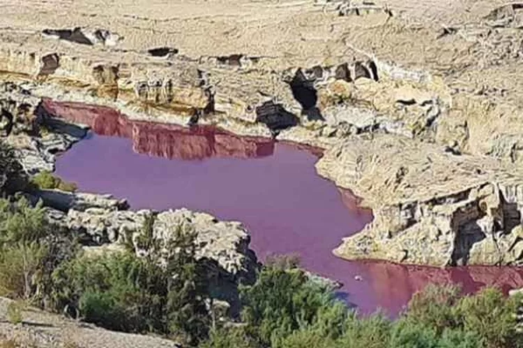 Mirip Kisah Di Alkitab Danau Dekat Laut Mati Tiba Tiba Berwarna Merah