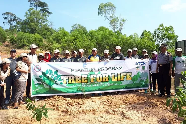 1.300 Pohon Ditanam Di Kawasan Wisata Tebing Langit - Jawa Pos