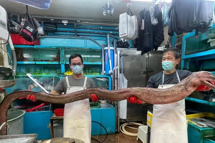 WhatsApp Image 2021-04-03 at 2.21.58 PM