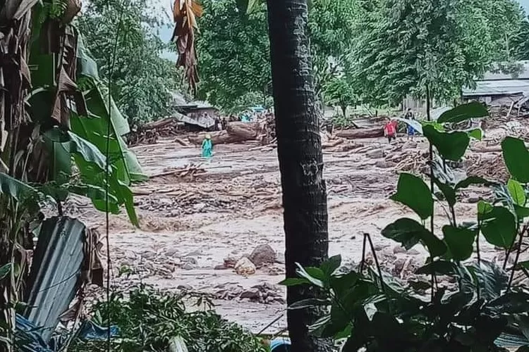 WhatsApp Image 2021-04-04 at 4.41.42 PM