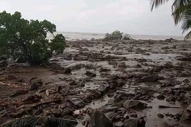 WhatsApp Image 2021-04-05 at 7.57.00 PM