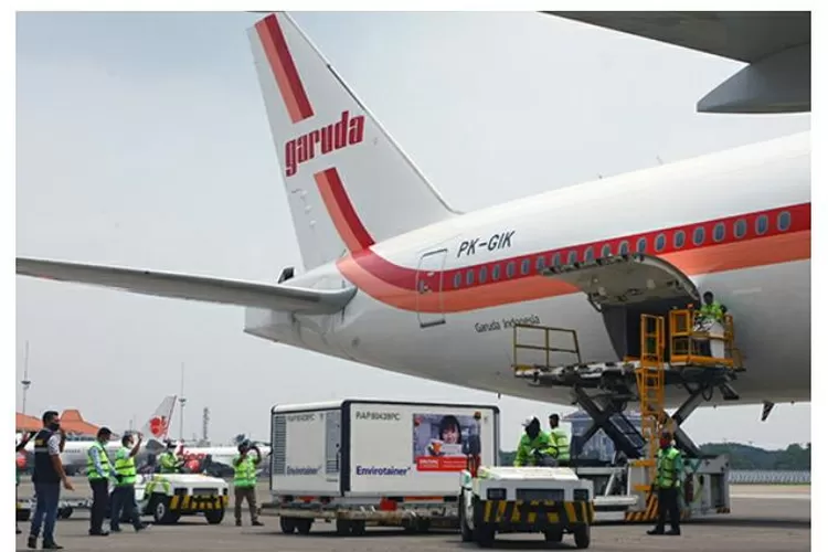 WhatsApp Image 2021-04-19 at 6.51.18 PM