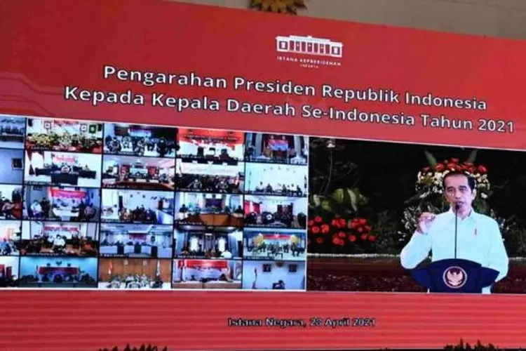 WhatsApp Image 2021-04-29 at 5.01.29 PM