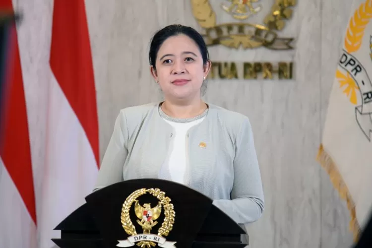 WhatsApp Image 2021-05-01 at 04.23.35