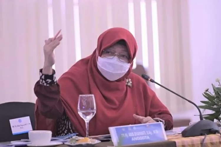 WhatsApp Image 2021-05-03 at 12.14.16 PM