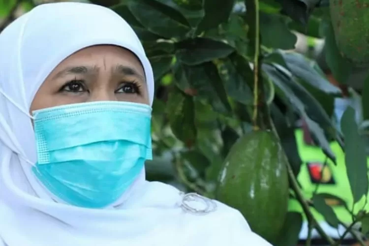 WhatsApp Image 2021-05-06 at 4.47.48 PM