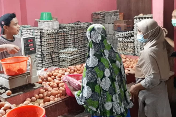 WhatsApp Image 2021-05-06 at 9.12.27 PM